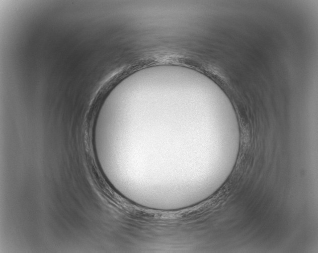 X0000064730587200602101000