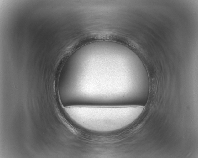 X0000064730589200602101000