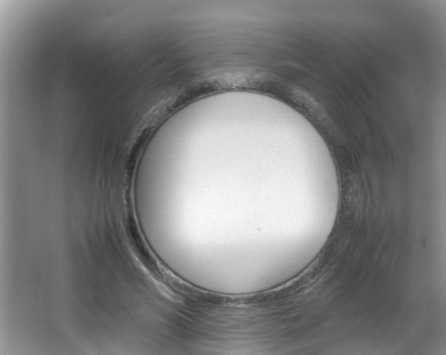 X0000064730590200602101000
