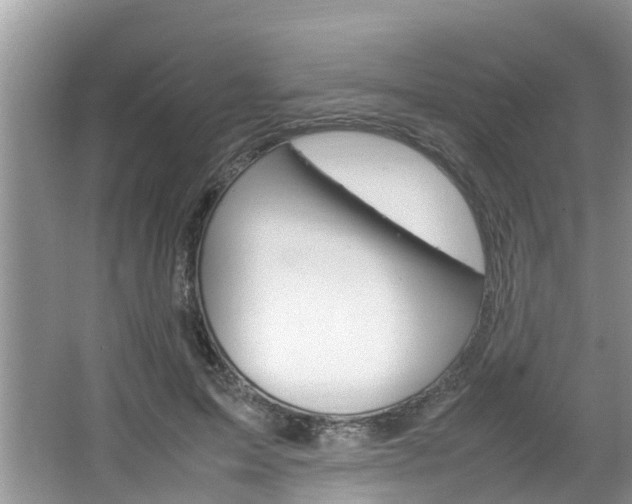 X0000064730599200602100959