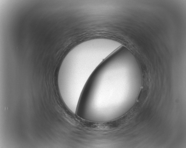 X0000064730601200602100959