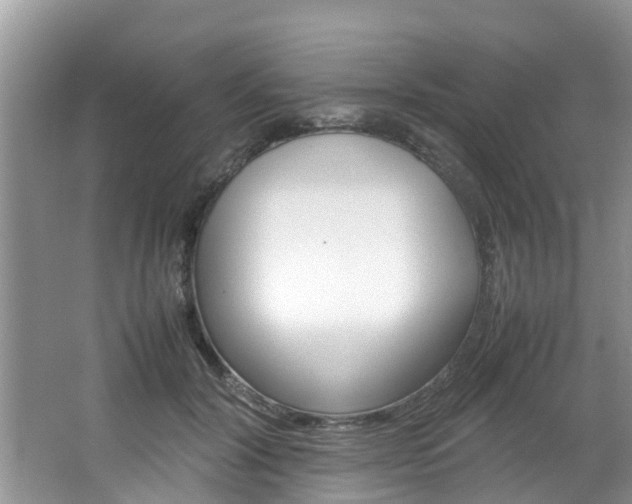 X0000064730604200602100959