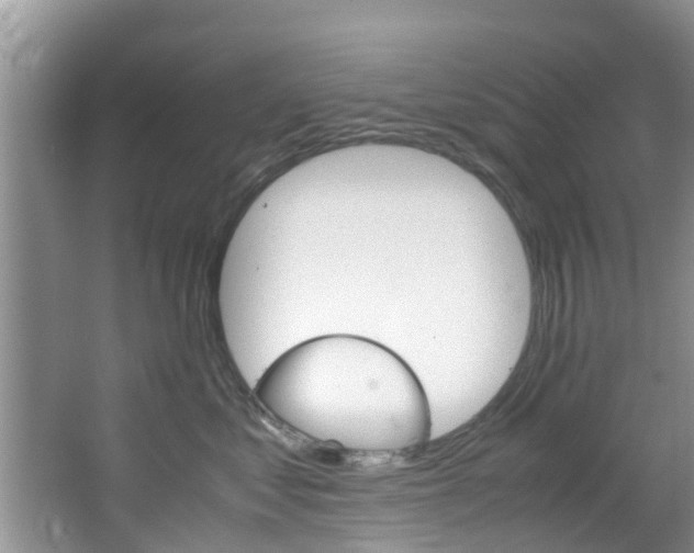 X0000064730621200602100959
