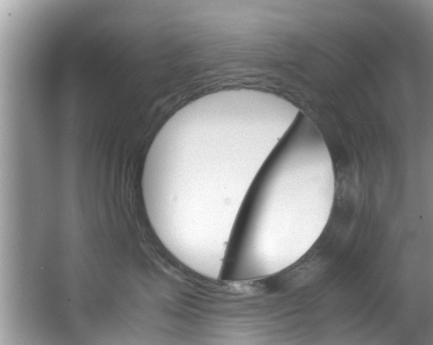 X0000064730623200602100959