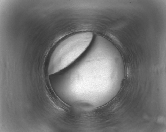 X0000064730627200602100958