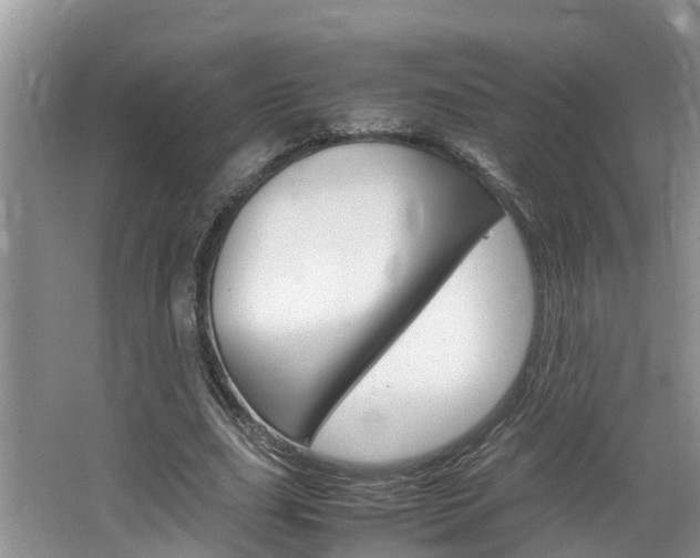 X0000064730631200602100958