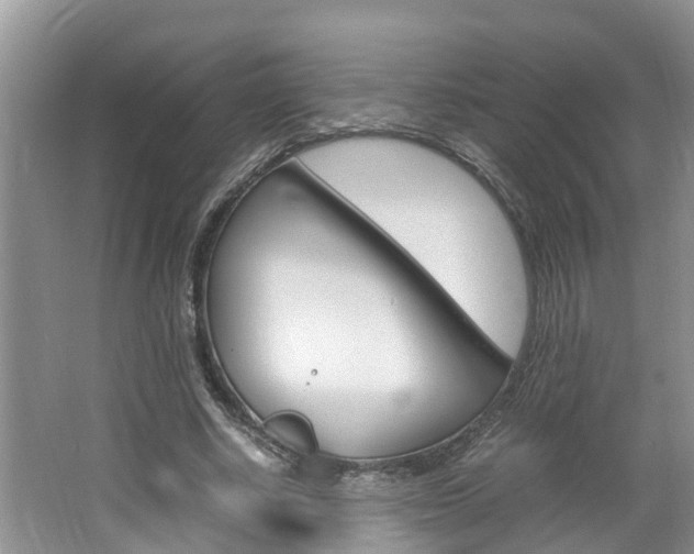 X0000064730634200602100958
