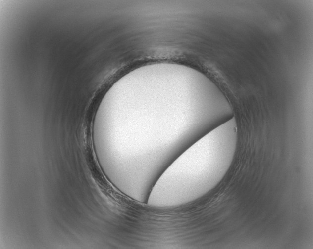 X0000064730636200602100958