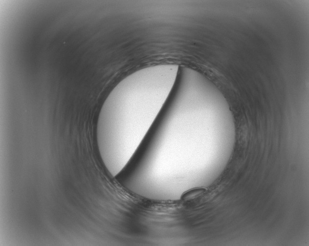 X0000064730661200602100959