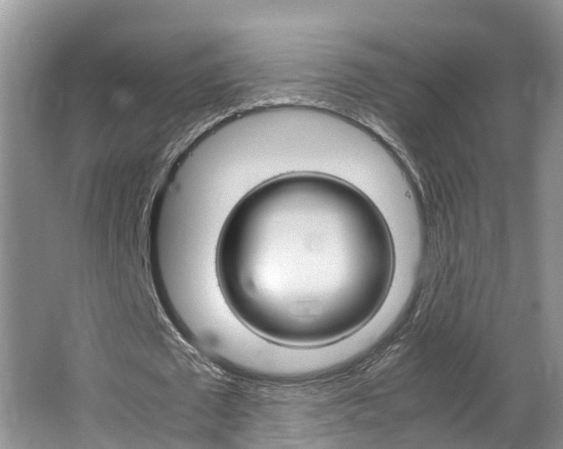 X0000064730673200602100958