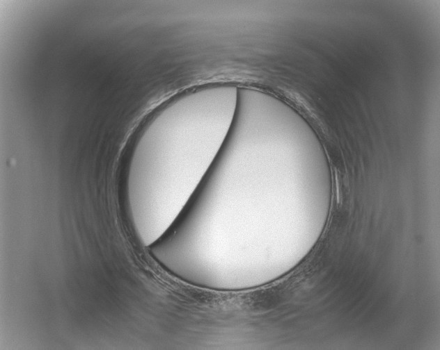 X0000064730675200602100958