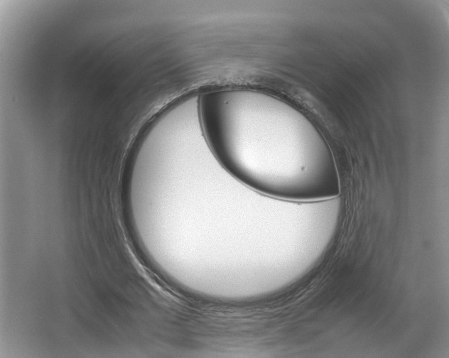 X0000064730677200602100958