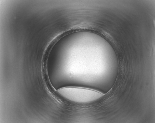 X0000064730680200602100958