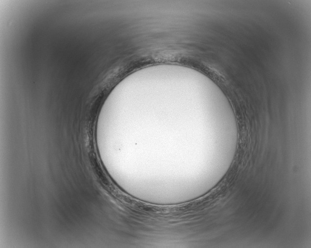 X0000064730687200602100958