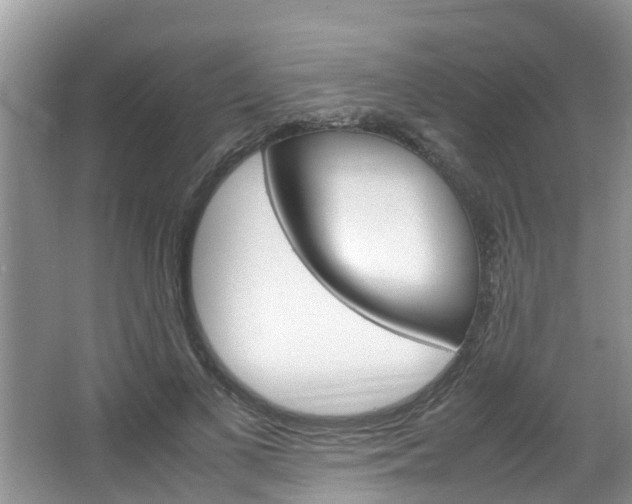 X0000064730693200602100958