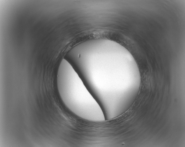 X0000064730698200602100958