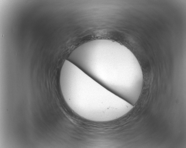X0000064730703200602100958