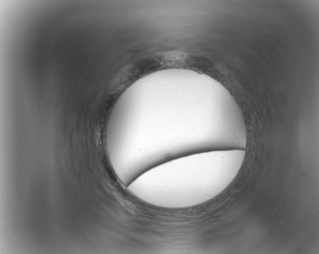 X0000064730711200602100958