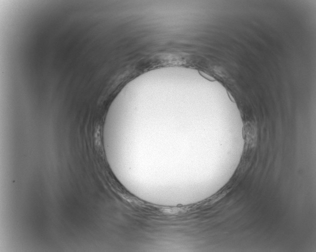 X0000064730713200602100958