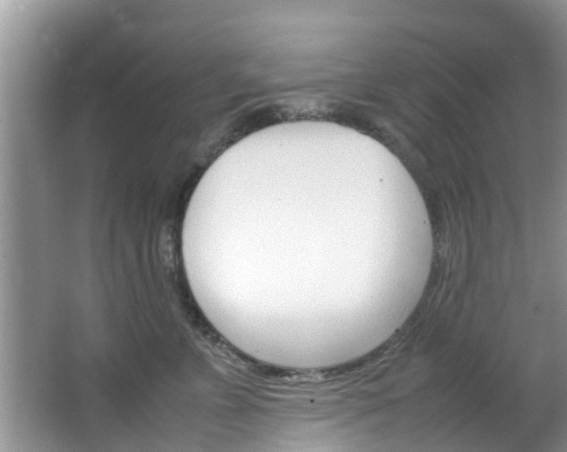 X0000064730715200602100957