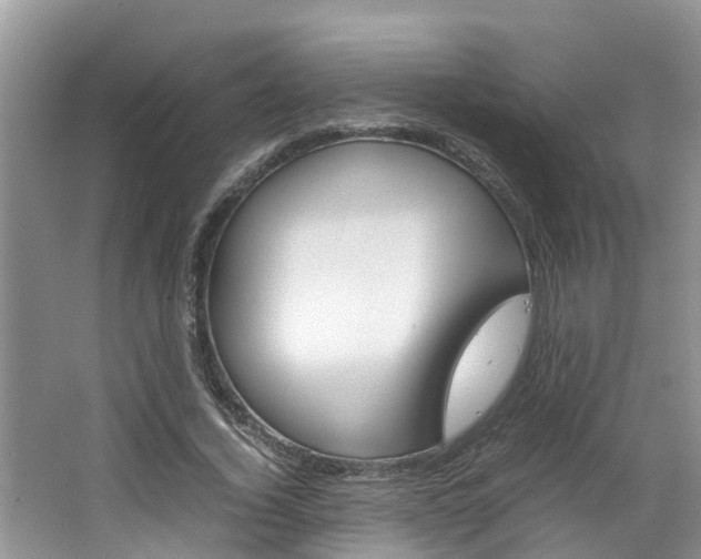 X0000064730732200602100957