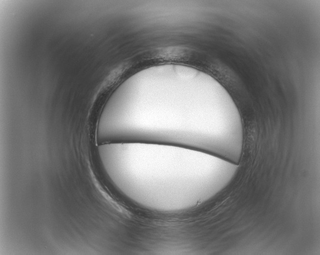 X0000064730734200602100957