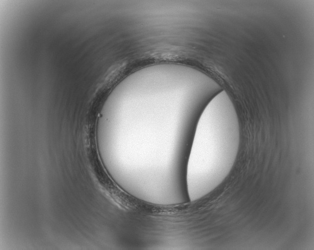 X0000064730738200602100957