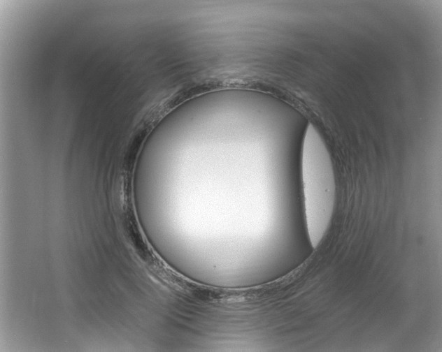 X0000064730740200602100957