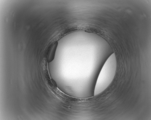 X0000064730744200602100957