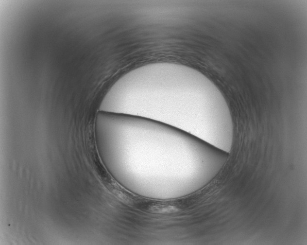 X0000064730747200602100957