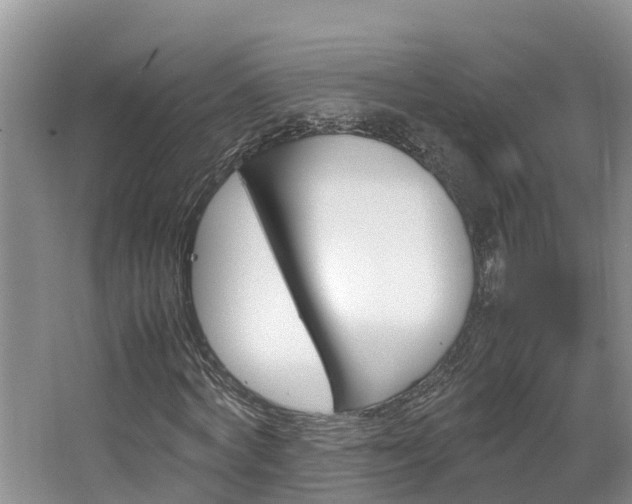 X0000064730772200602100957