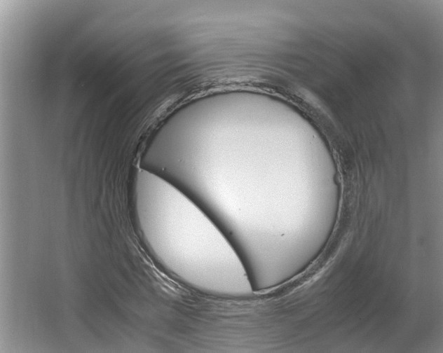X0000064730777200602100956