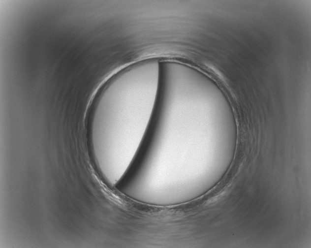 X0000064730779200602100956