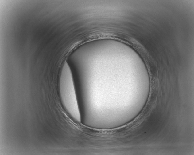 X0000064730785200602100956