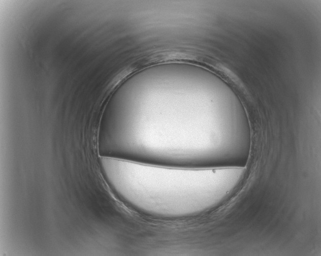 X0000064730793200602100956