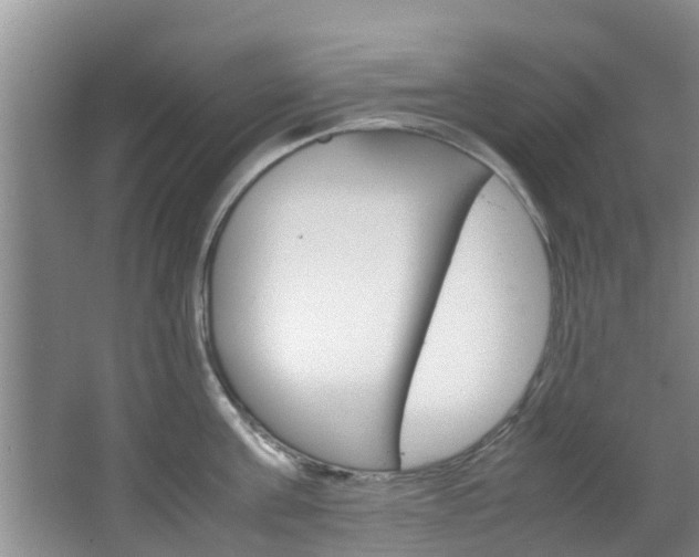 X0000064730811200602100956