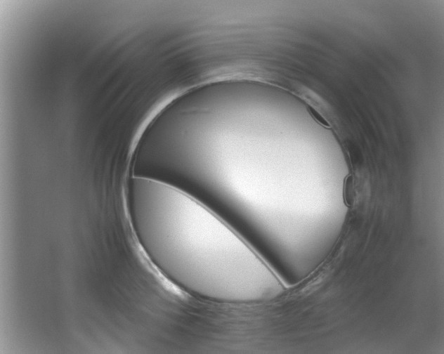 X0000064730812200602100956