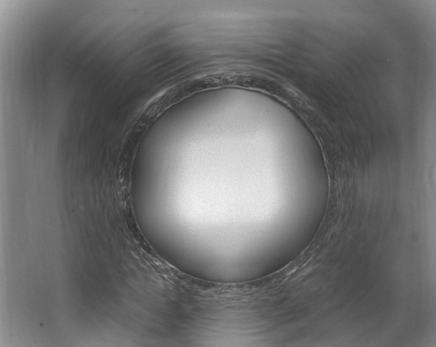 X0000064730822200602100955