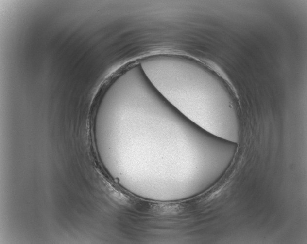 X0000064730831200602100955