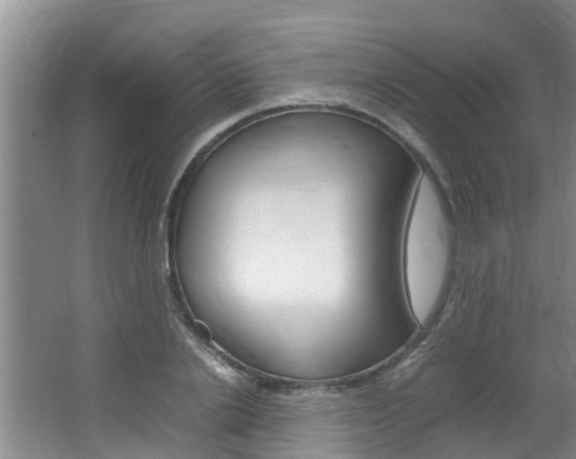 X0000064730838200602100955