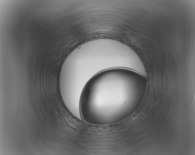 X0000064730868200602100955