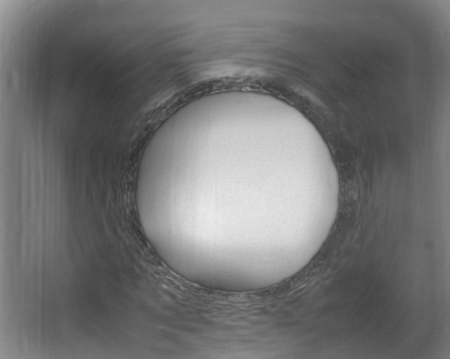 X0000064730869200602100955