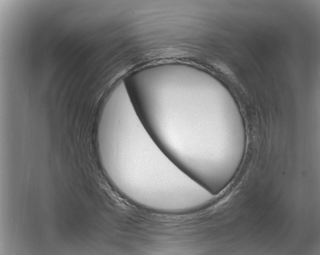 X0000064730873200602100955