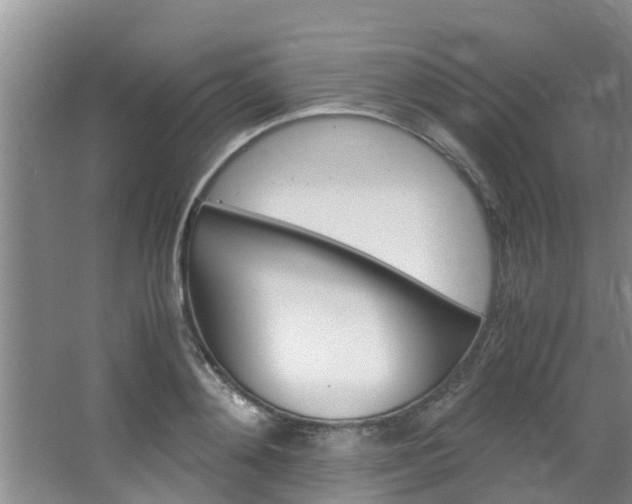 X0000064730892200602100955
