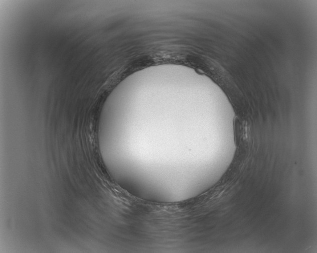 X0000064730915200602100953