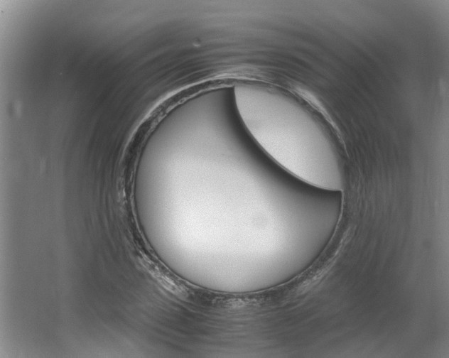 X0000064730923200602100954