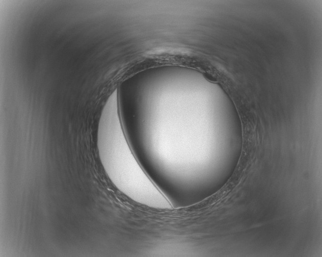 X0000064730965200602100953