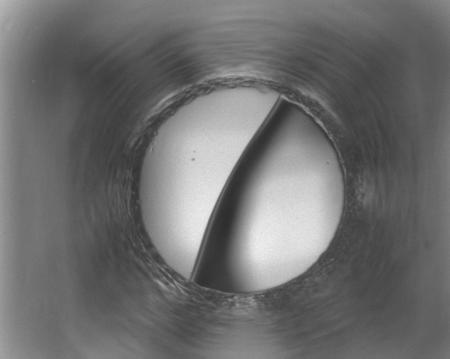 X0000064730968200602100953