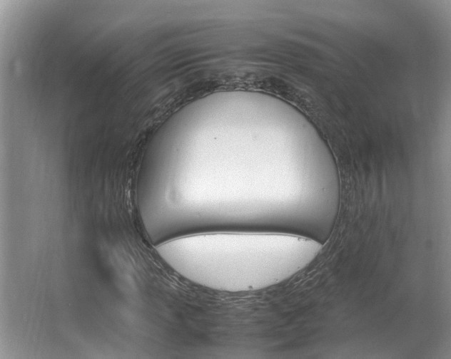 X0000064731013200602100952