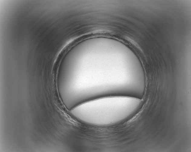 X0000064731021200602100952